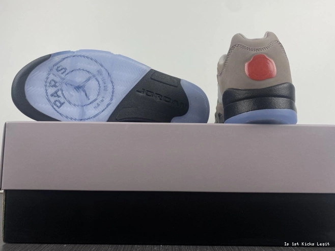 x Jordan Low 5 PSG DX6325-204 Air 0823